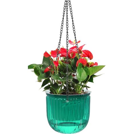 Jardinière suspendue ronde avec réserve d'eau et niveau d'eau visible diamètre 21 cm pour fleurs et plantes d'intérieur ou d'extérieur (1/5)