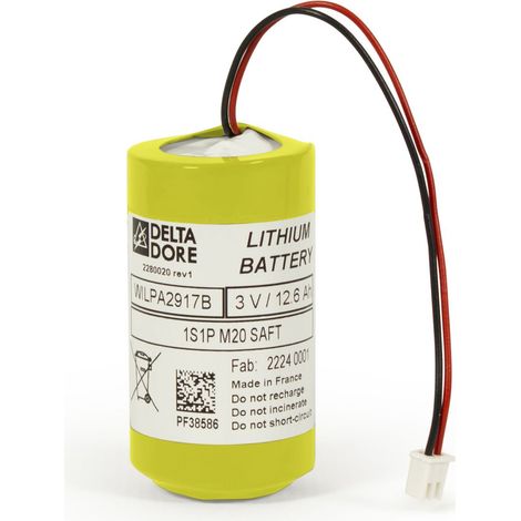 Batterie pour alarme 12V – Technologie Lithium – Compatible sirène extérieure – Delta Dore 6416238
