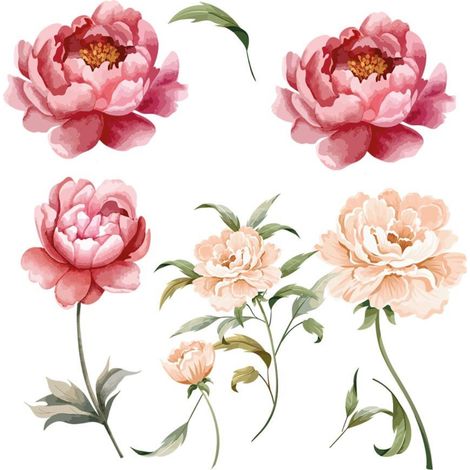 Autocollant Mural flleurs pivoines (1/2)