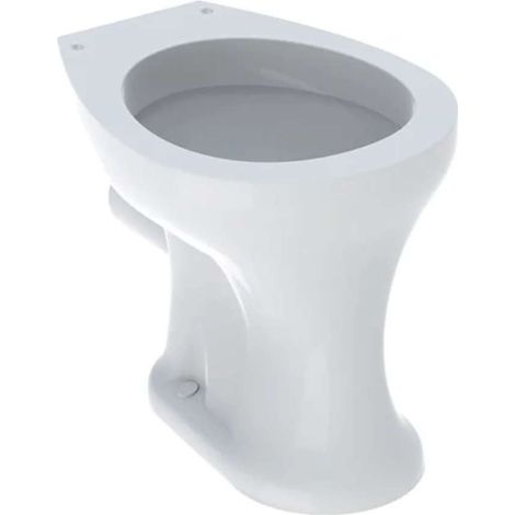 WC a terra, bambino 6 l, scarico orizzontale, bianco GEBERIT (1/2)