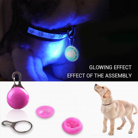 Lot de 6 colliers lumineux LED clignotants pour chien, avec médaillon rond et LED, pour la sécurité nocturne et la prévention de la perte. (1/5)