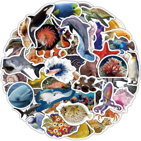 Pack d'autocollants animaux - Autocollants mignons et imperméables pour enfants et adultes sur le thème de l'océan (1/5)