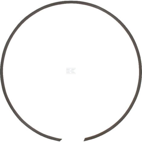 Anillo retenci贸n para carcasa IDC BR183 (1/2)