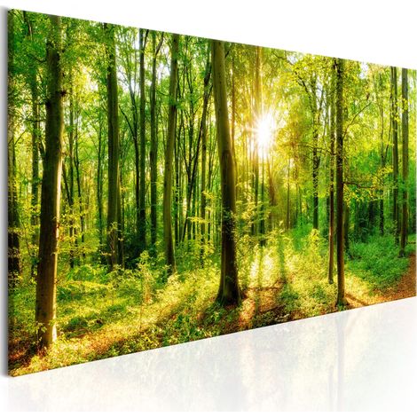 Quadro - Green Magic - 150x50 (1/4)