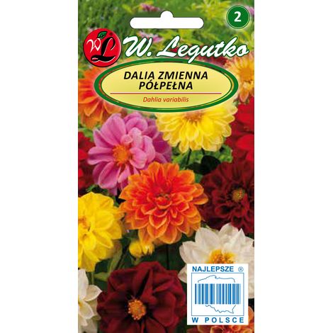 LEGUTKO Dalia Variabile Unwins, mix nana, 1 g di semi (1/2)