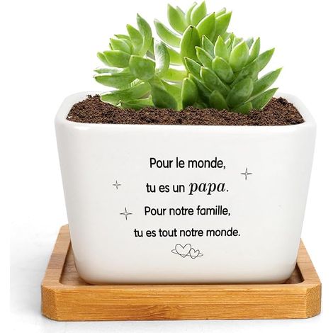 Flower Pot Gifts for Idea Young Valentine's Day Man Father's Day Christmas (1/5)