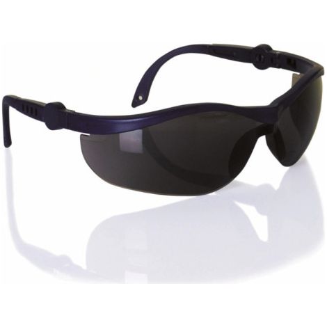 Caja de 12 Gafas de Estilo Deportivo Patriot | Ahumado