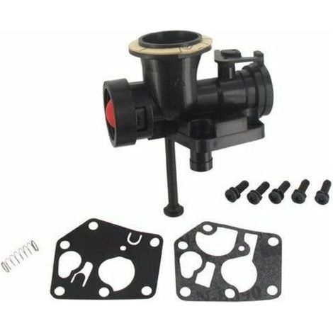 Carburador Briggs Stratton en depósito 498811 (1/4)