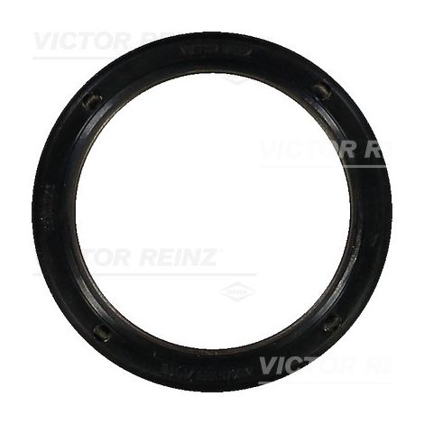 BAGUE D'ÉTANCHÉITÉ 813850700 REINZ