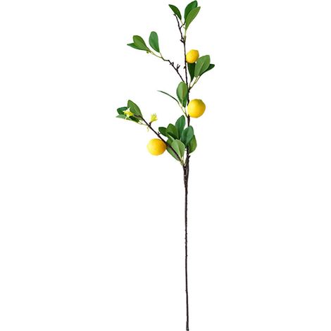 Simulation Branche De Citron Fruit De Citron Multi Tête Branche De Citron Artificielle Plantes De Simulation Et De Verdure Simulation Branche d'arbre Fruitier Mousse Plastique (a) (1/5)