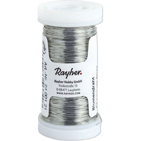 Rayher 2400100 - Filo di Ferro per Fiori, 0,35 mm, Bobina da 100 m