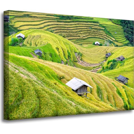 Stampa su tela Natura Terrazze agricole 70x50 cm