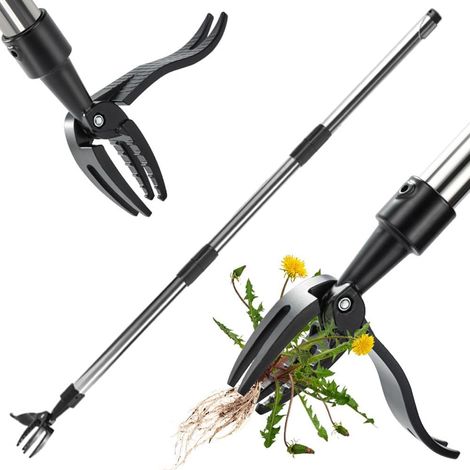Désherbeur manuel télescopique - Modèle 4 griffes inox, manche réglable 147cm, extraction racines sans effort pour jardin (1/4)