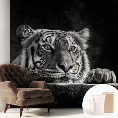 Papier peint intissé mural avec imprimé motifs uniques apparence moderne - Colle incluse gratuite Regard prédateur 250x250 cm (1/5)