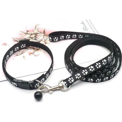 Collier pour chiot avec laisse, réglable, laisse souple en nylon pour chiots et petits chiens, 1,2 m de long, bleu ciel (1/5)