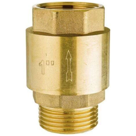 Brass Check Valve 1 Inch Threaded Inlet Outlet for Water Pipes Water Heater Meters (1/4)