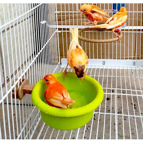 Bain pour oiseaux en cage + cadre en plastique, petite baignoire universelle multifonctionnelle, douche suspendue pour cage (vert) (1/4)