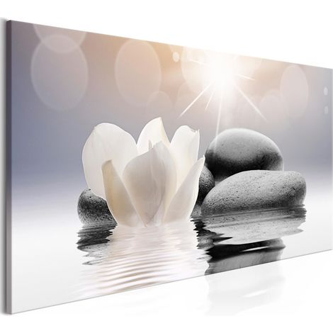 Quadro - Luminosità naturale 1 pannello largo - 100x45 (1/4)