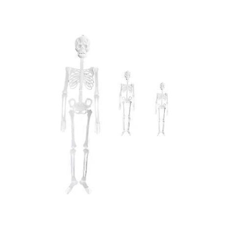 3-teiliges Halloween-Leuchtskelett-Set, hängende Skelette aus Kunststoff, Halloween-Schädel-Skelettrahmen, Wanddekoration (20 cm + 30 cm + 90 cm)