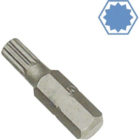 M6 Spline Bit, Innensechskant M6, Vielzahn Bit, 25mm, S2 Stahl