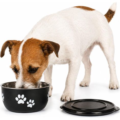 gamelle pour Chien - Noir et Argent avec Couvercle - Taille S - INOX - croquettes Chien - 600 ML (1/5)