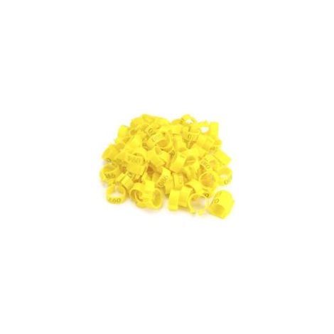Lot de 100 anneau de pied de poulet, bague pigeon, 16 mm, multicolores, pour volaille, poules, canards, oies, pigeons