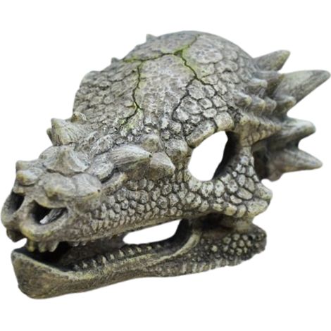 Amtra Drachen-Schädel – Außergewöhnliche Aquarium-Deko