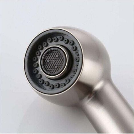 Douchette Robinet Cuisine 2 Jets Tête de Douche Remplacement Douchette pour Mitigeur Cuisine,Nickel Brossé (1/3)