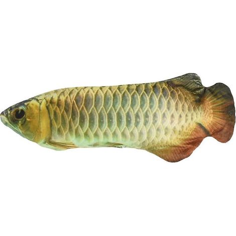 Künstlicher Katzenminze-Arowana-Fisch, wiederaufladbares elektrisches Katzenkauspielzeug (1/4)
