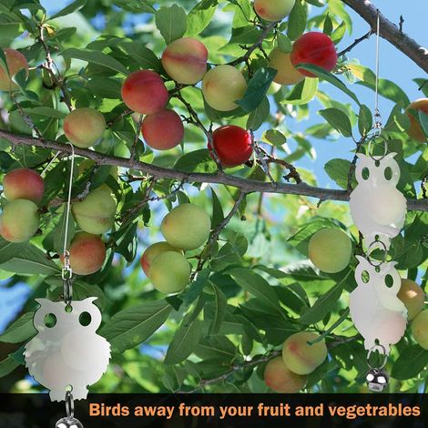 Plastik-Eule als Attrappe – Vogelscheuche – Abschreckungsmittel – Halloween / Garten – Schädlingsbekämpfung (1/4)