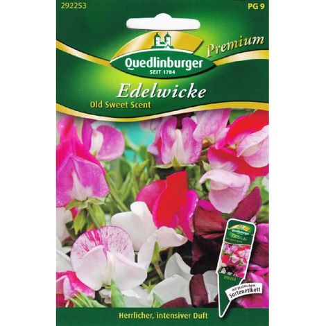 Quedlinburger Edelwicke Old Sweet Scent - Blumensamen (1/2)