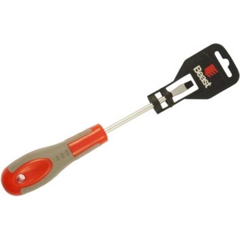 Tournevis Plat 6x100 mm - Acier - Précision et Confort D Utilisation - Qualité premium - Beast (1/5)