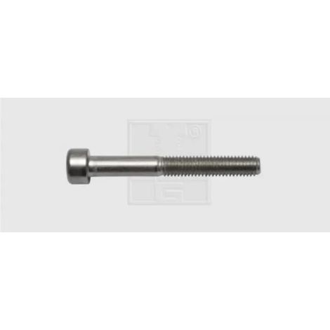 Tornillos swg din 912 acero inoxidable A2 40 mm 50 unidades
