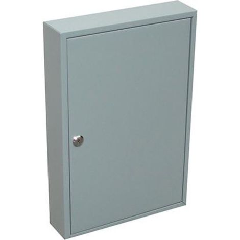 Schlüsselschrank 64 H. 1- türig 450x300x80 (1/2)