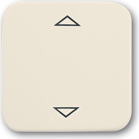 BUSCH-JAEGER 6430-212-102 - INTERRUPTOR DE DOS POSICIONES CON DIBUJO DE FLECHAS, COLOR BLANCO ROTO (1/3)