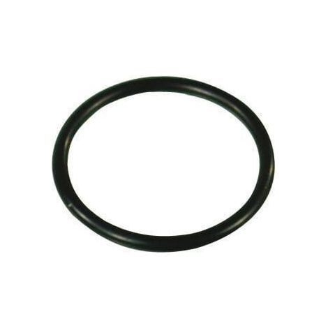 O-ring 26,65x2,62 ANNOVI REVERBERI 550040