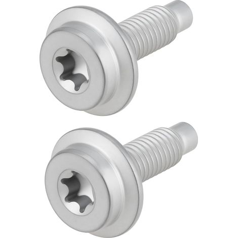Lot de 2 Vis M8x27 Mm pour Charnières de Porte de Voiture WHT001230 Compatible avec VW Compatible avec Audi (1/5)