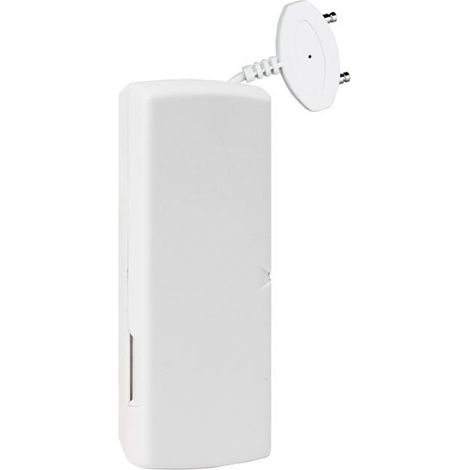 SM425 Capteur d'eau intelligent pour l'alerte d'inondation sur Internet SmartHome