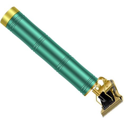Tondeuse à cheveux électrique 5W, recharge rapide USB, ergonomique et compacte, pour hommes, femmes, seniors, bébés et enfants (1/5)