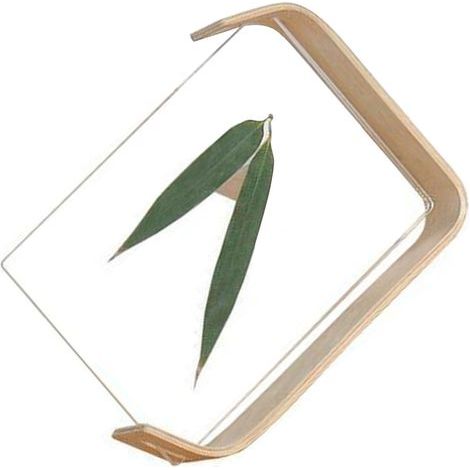 Moderner und minimalistischer Tisch-Fotorahmen aus Holz und Acryl für Pflanzen, Innendekoration (1/5)