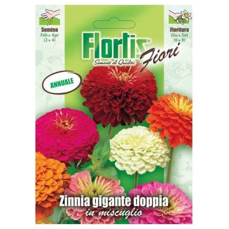 ZINNIA GIGANTE DOPPIA MIX
