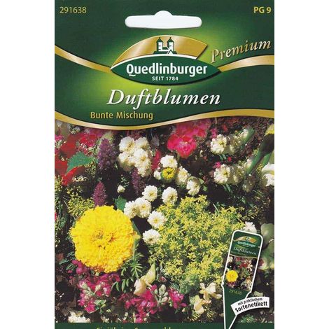 Quedlinburger Duftblumen Bunte Mischung - Premium Blumensamen (1/4)