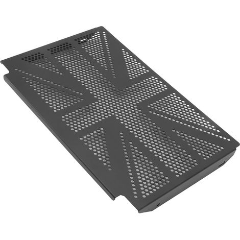 Grille de radiateur pour moto Trident 660, en acier inoxydable, pour protéger le radiateur. (1/5)