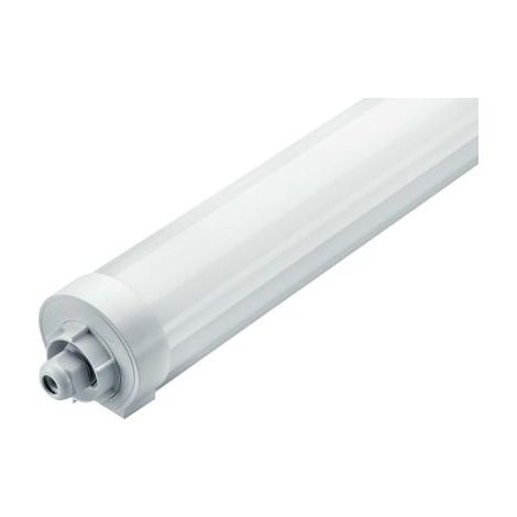 Thorn ECO LUCY lampada bianca 40 W 4000 K IP66