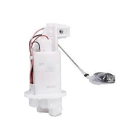 Gruppo pompa carburante per moto FZI Fz I Fi 2.0 (1/5)