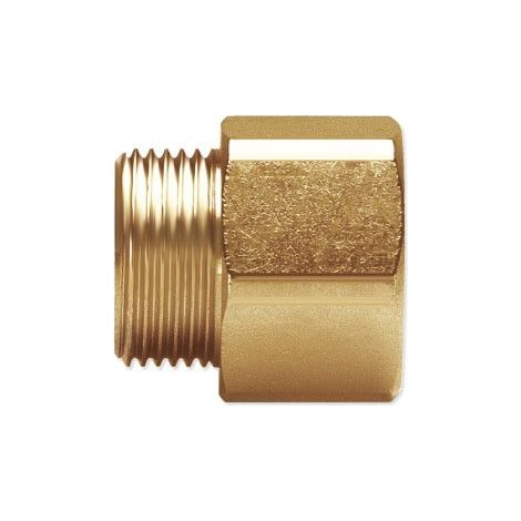 Niples DN 12 G 1/2" - Rp 1/2" per tubo AISI304-AISI316L A03-0010-00793