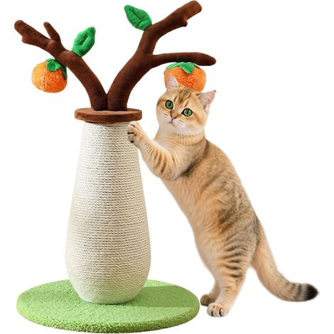 pour Chat Arbre Chat 56 cm en Bois de Persimmon Jouet pour (1/5)