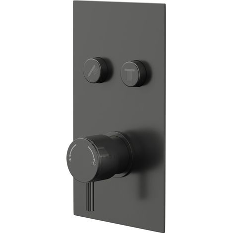 Colore Round Gunmetal Grey Concealed Push Button Shower Valve with Fully Knurled Control Handle - 2 Outlet (1/5)