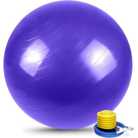 Ballon De Gymnastique 65 Cm - Capacité De Charge 300 Kg - Pour Pilates Yoga Fitness - PVC Anti-éclatement - 1 Pièce (1/4)