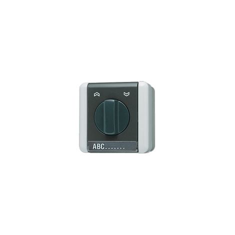 Jung Interruttore rotativo per tapparelle, 1 poli (1 motore), con campo di scrittura, IP 44, WG 800 834.10 W